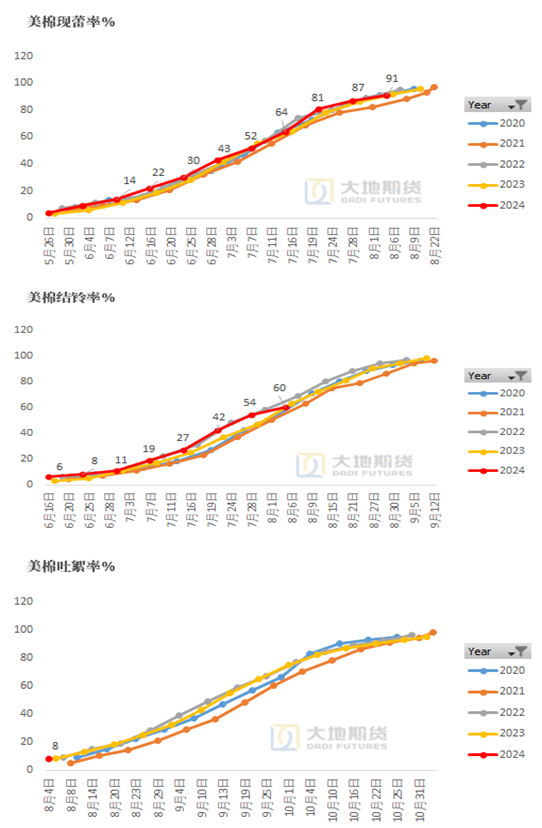 数据来源：USDA，大地期货研究院