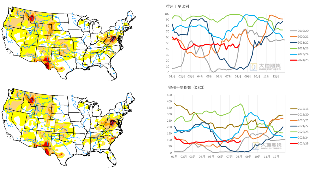 数据来源：USDA，大地期货研究院