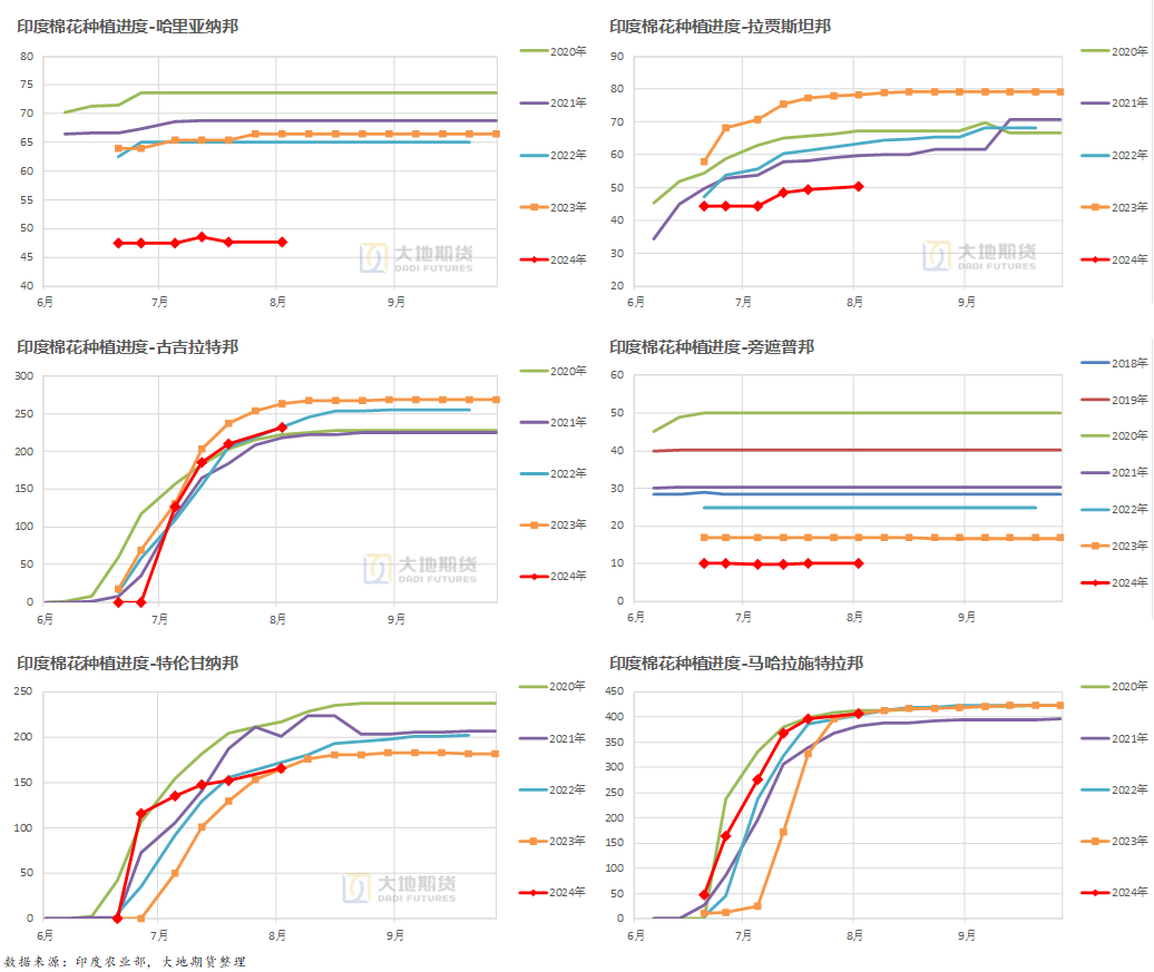 数据来源：印度农业部门，大地期货研究院