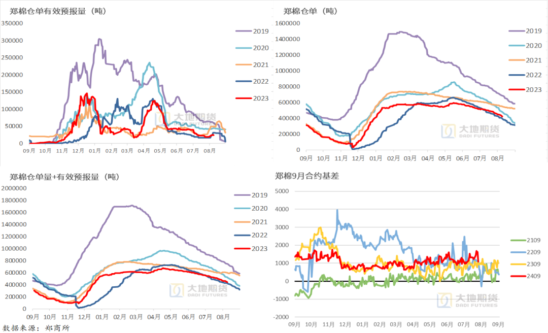 数据来源：郑商所，大地期货研究院