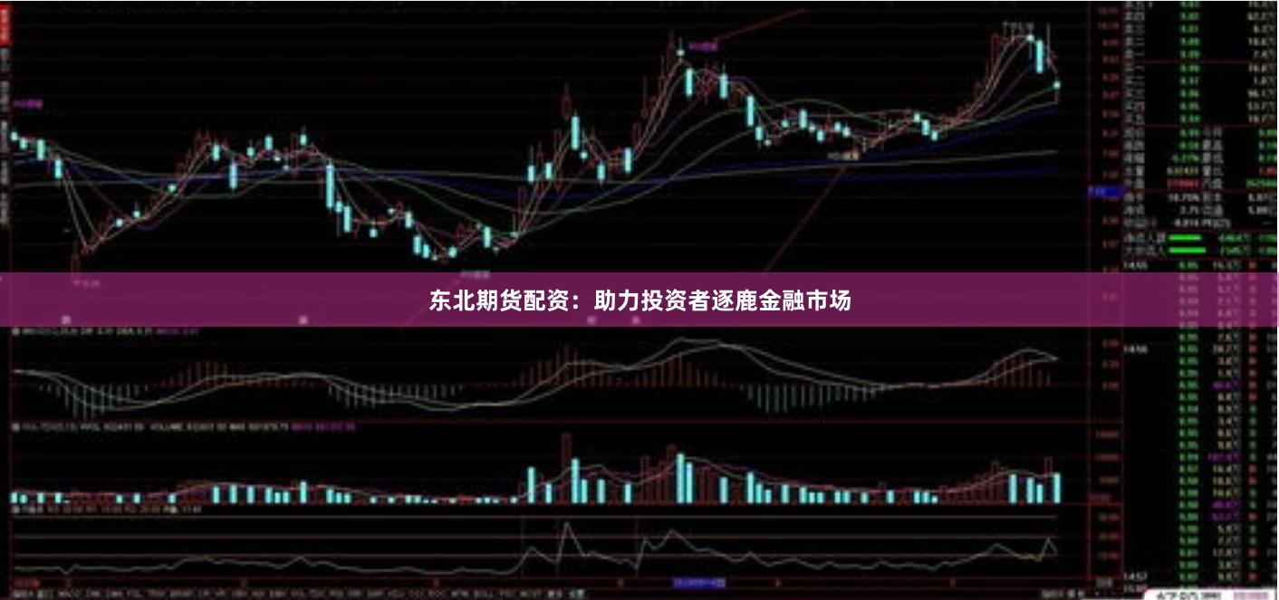 东北期货配资：助力投资者逐鹿金融市场