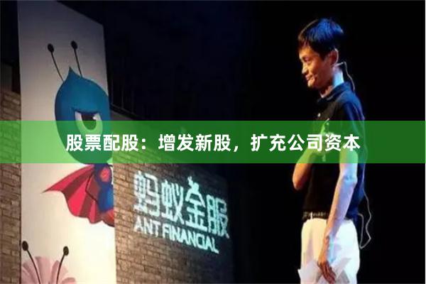 股票配股：增发新股，扩充公司资本