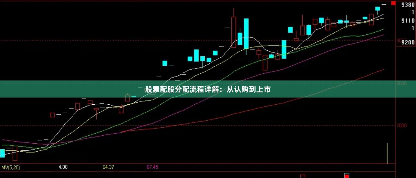 股票配股分配流程详解：从认购到上市